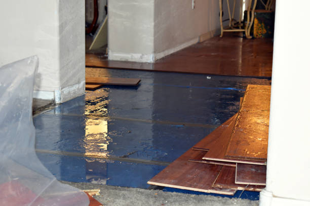 Professional Water Damage Repair technician working in Thompson, ND